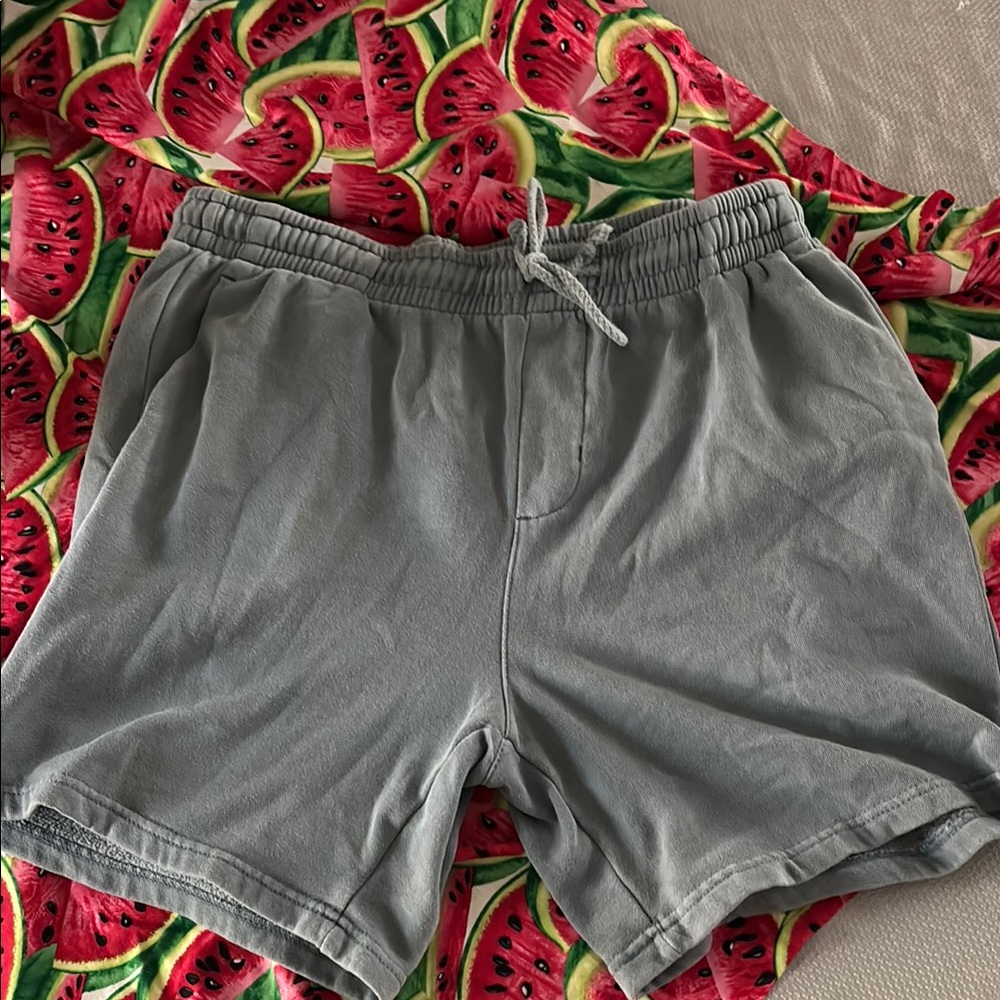 Pacsun Blue 7 inch Sweat Shorts